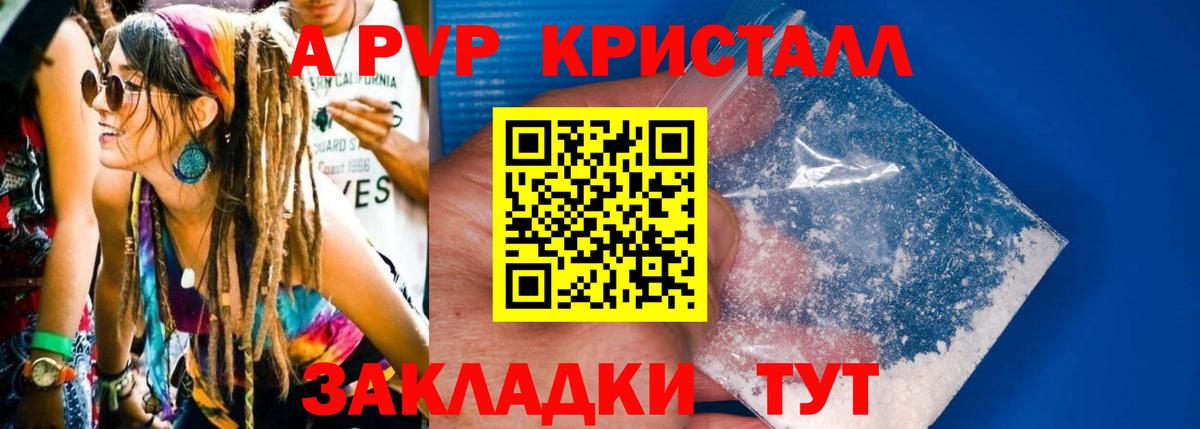Альфа ПВП СК Мурманск