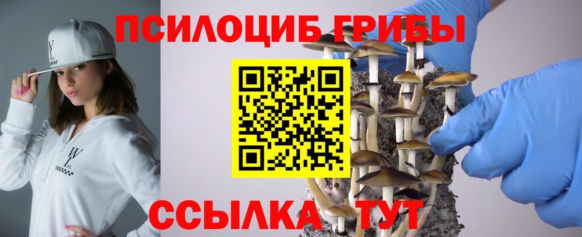 Мурманск  Галлюциногенные грибы мухоморы  Вход с VPN  Псилоцибиновые грибы MAGIC MUSHROOMS 